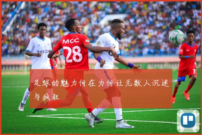 足球的魅力何在为何让无数人沉迷与疯狂