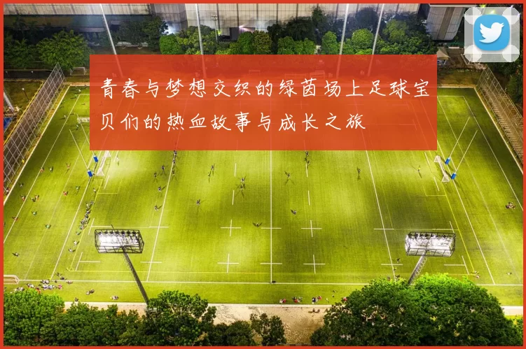 青春与梦想交织的绿茵场上足球宝贝们的热血故事与成长之旅